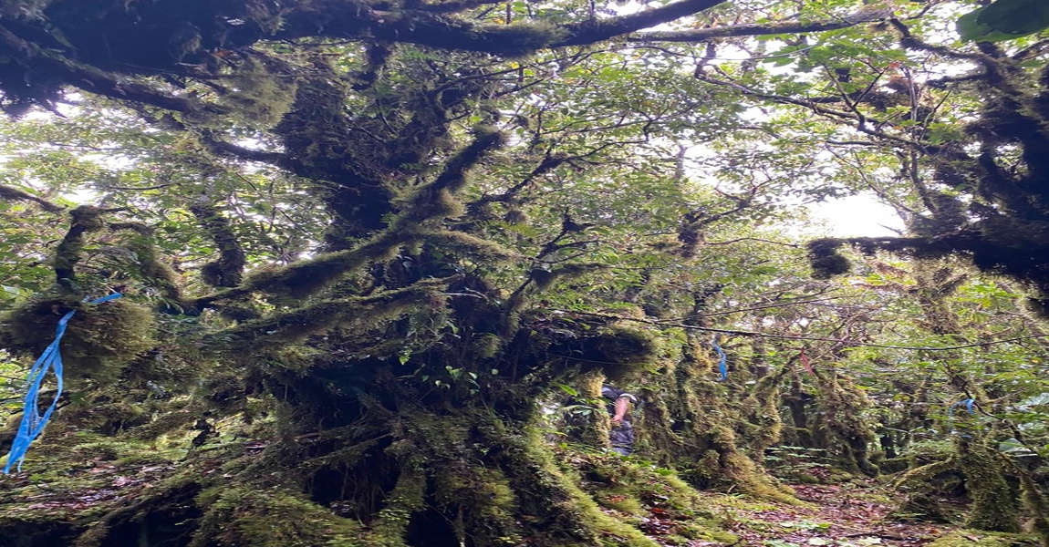 foto2_BANNER_1150x600